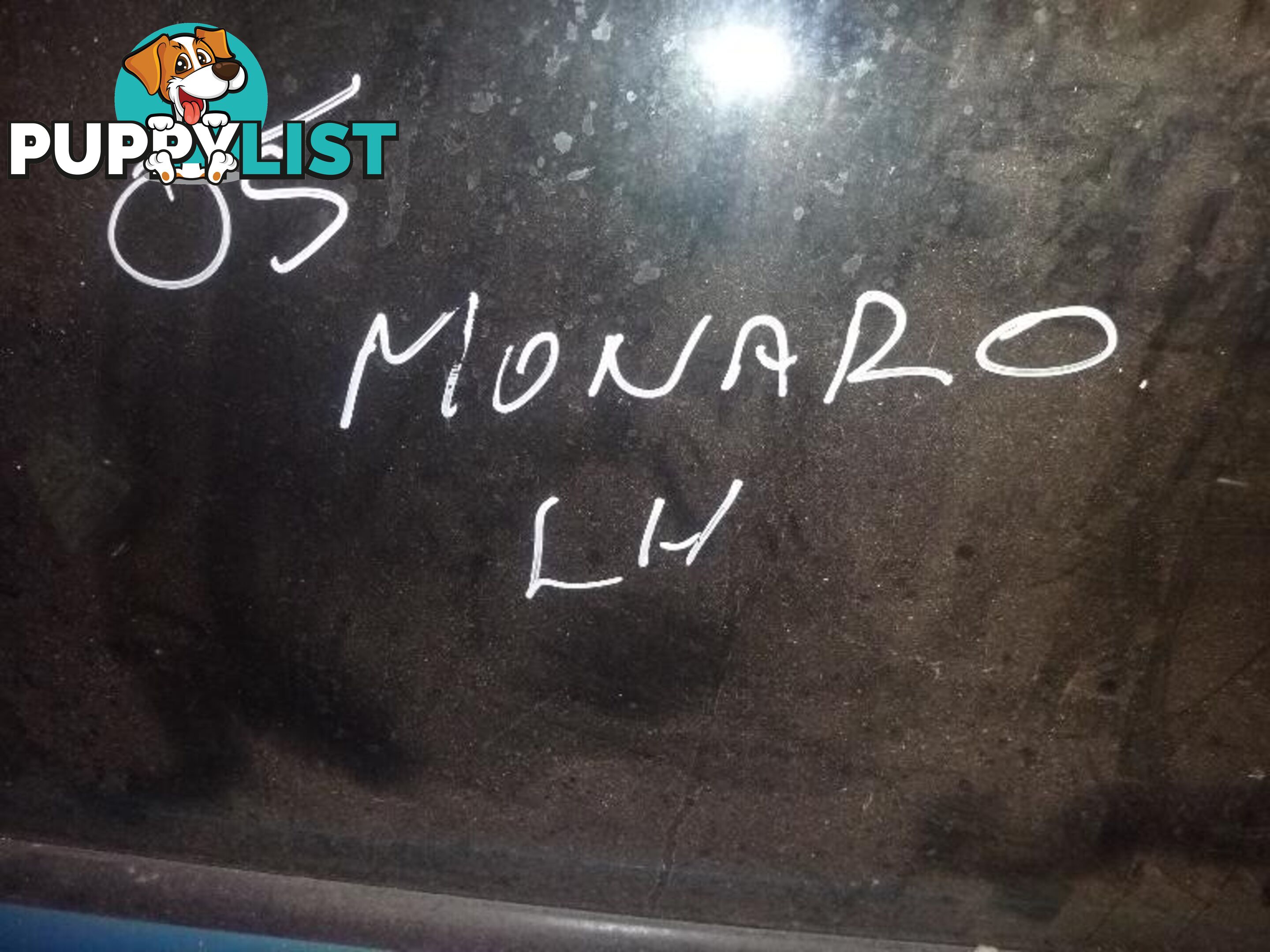 2005 Holden Monara  door LH. Good condition, no rust. See pics.