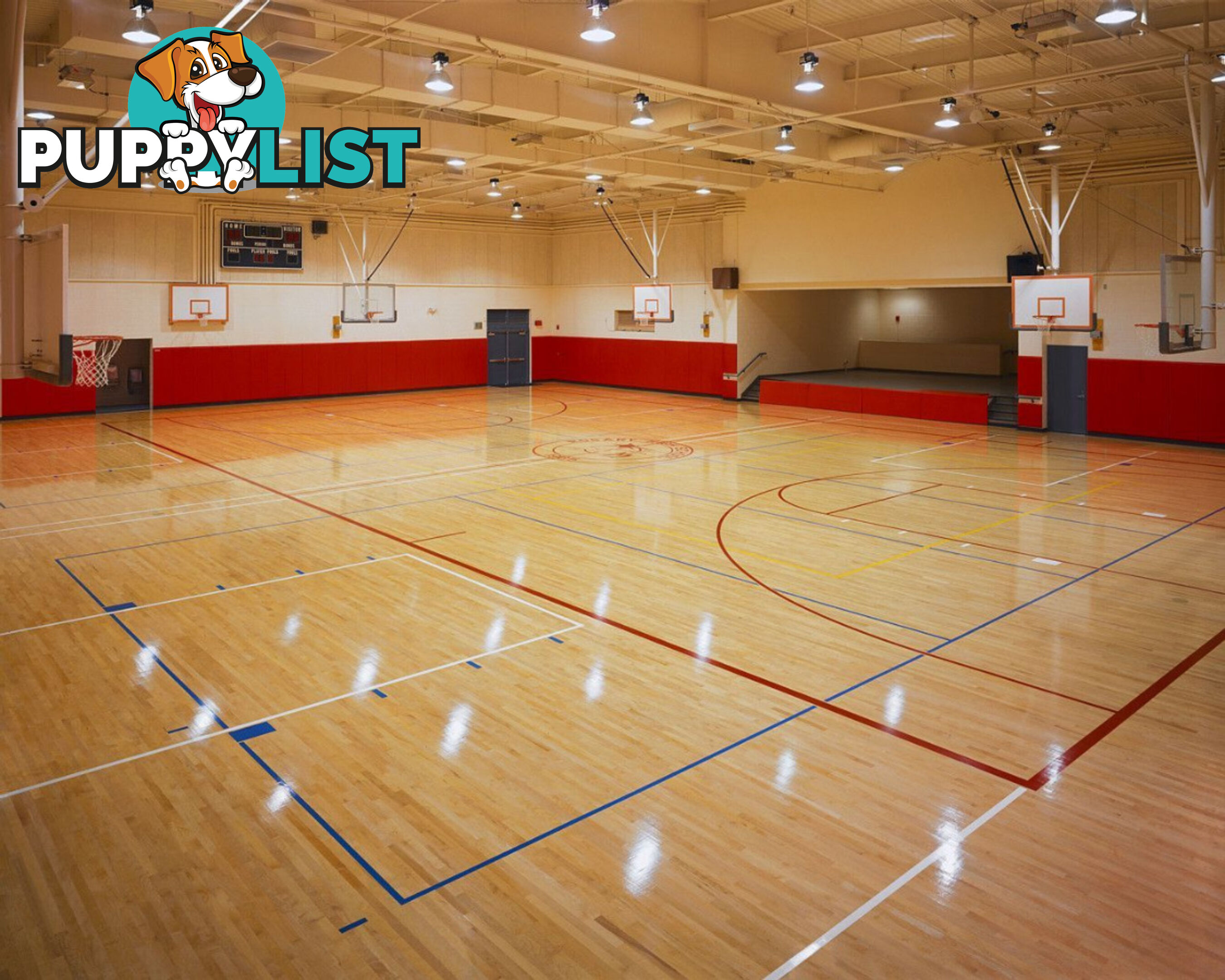 Sports Court Installation Service