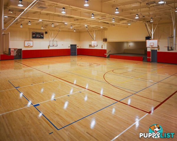 Sports Court Installation Service