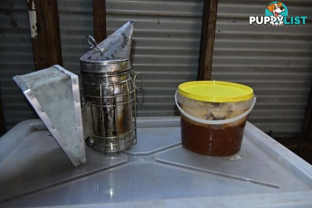 Bee-keeping starter kit