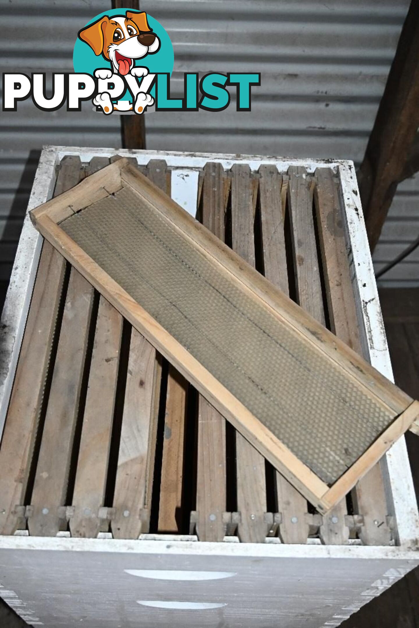 Bee-keeping starter kit