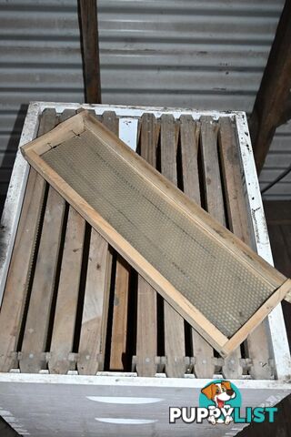 Bee-keeping starter kit