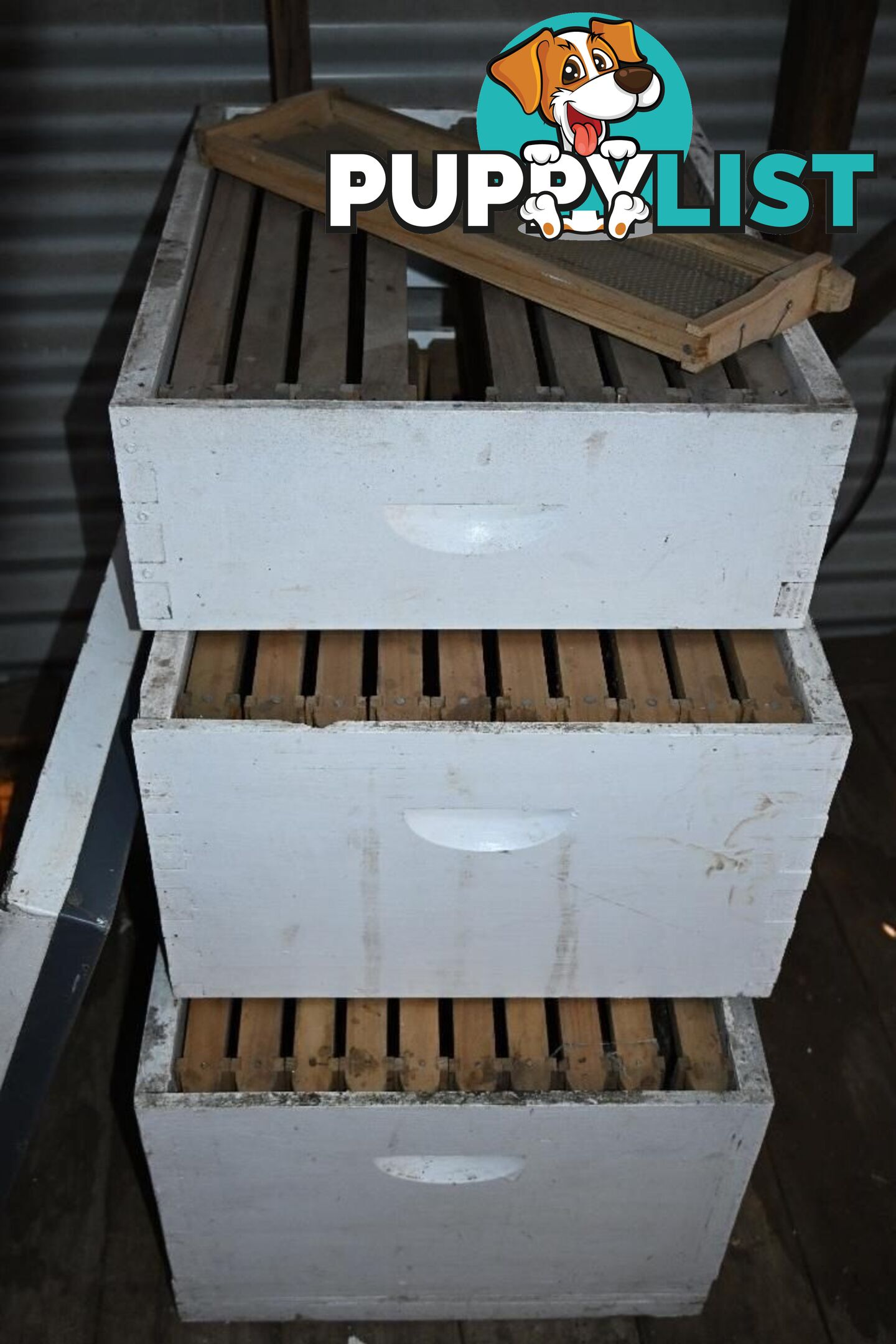 Bee-keeping starter kit
