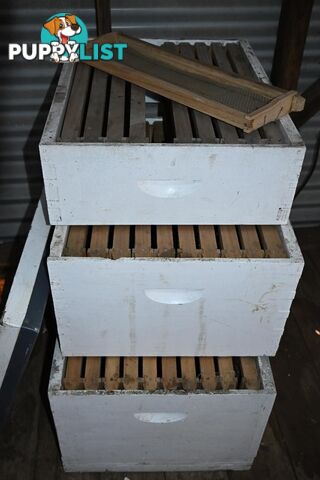 Bee-keeping starter kit