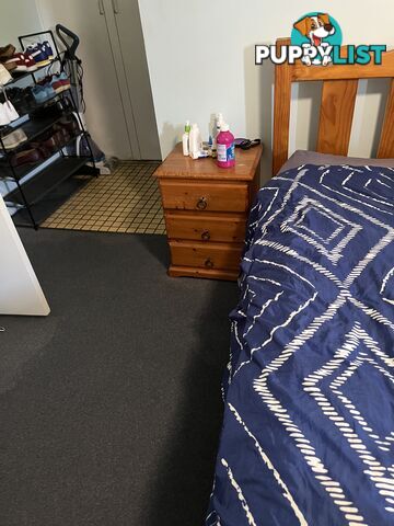 Pine Tallboy and 2 bedside drawers