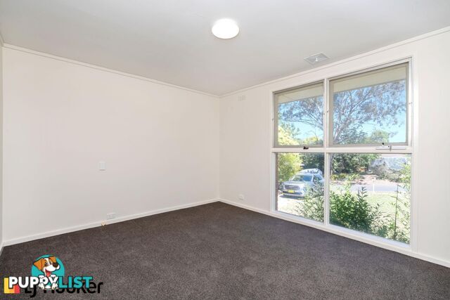 29 Aurora Close MAWSON ACT 2607