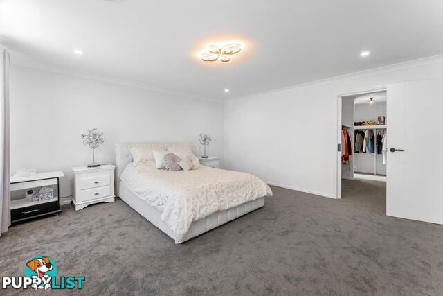 96 Dumas Street MCKELLAR ACT 2617