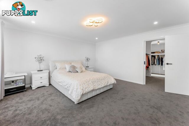 96 Dumas Street MCKELLAR ACT 2617