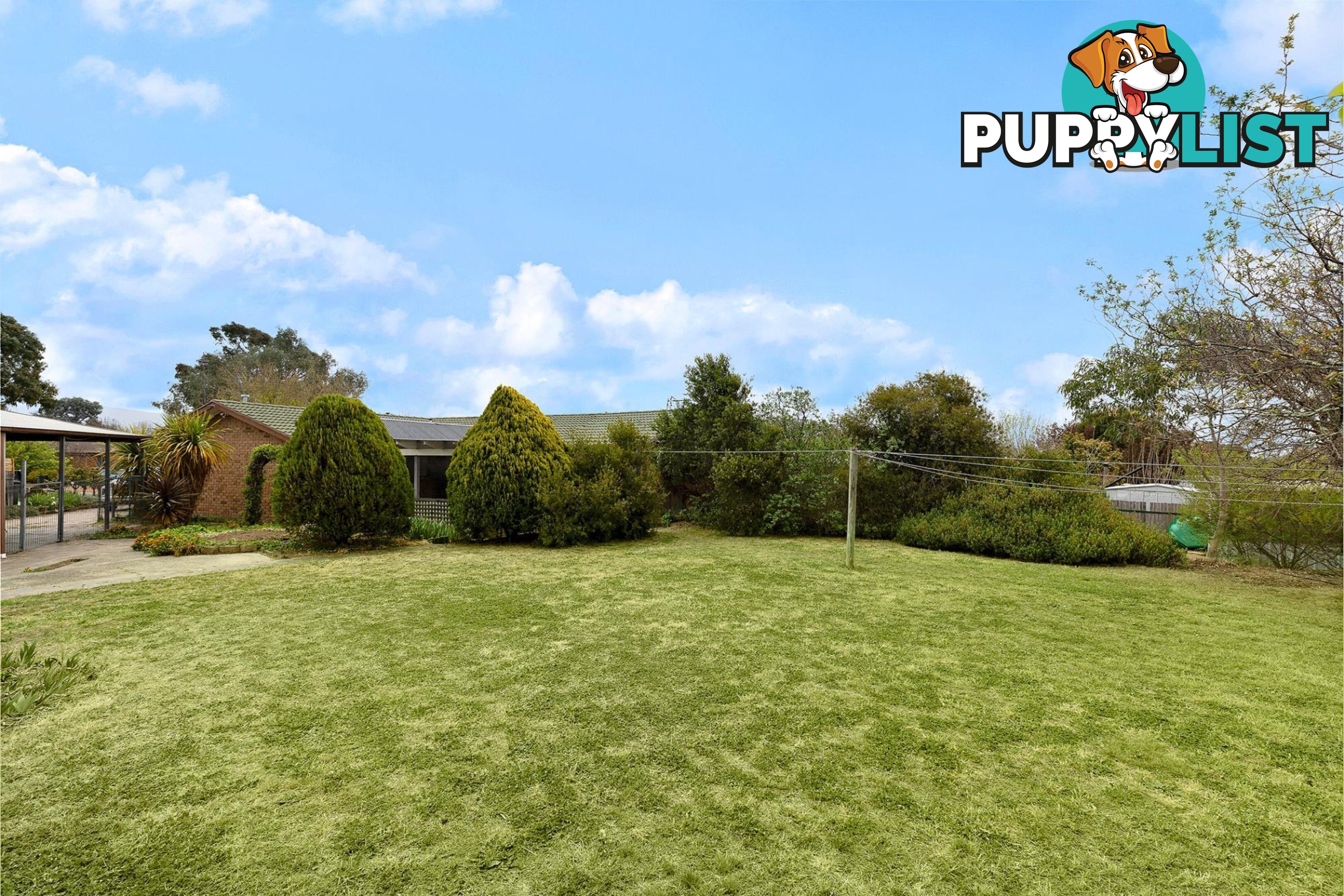 23 Ironbark Crescent BANKS ACT 2906