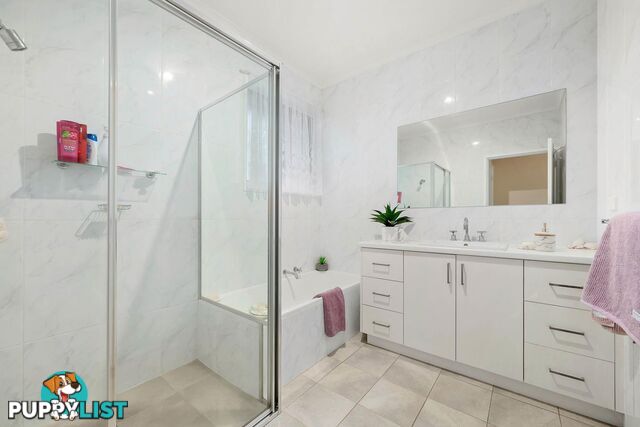 12 Holland Street MACGREGOR ACT 2615