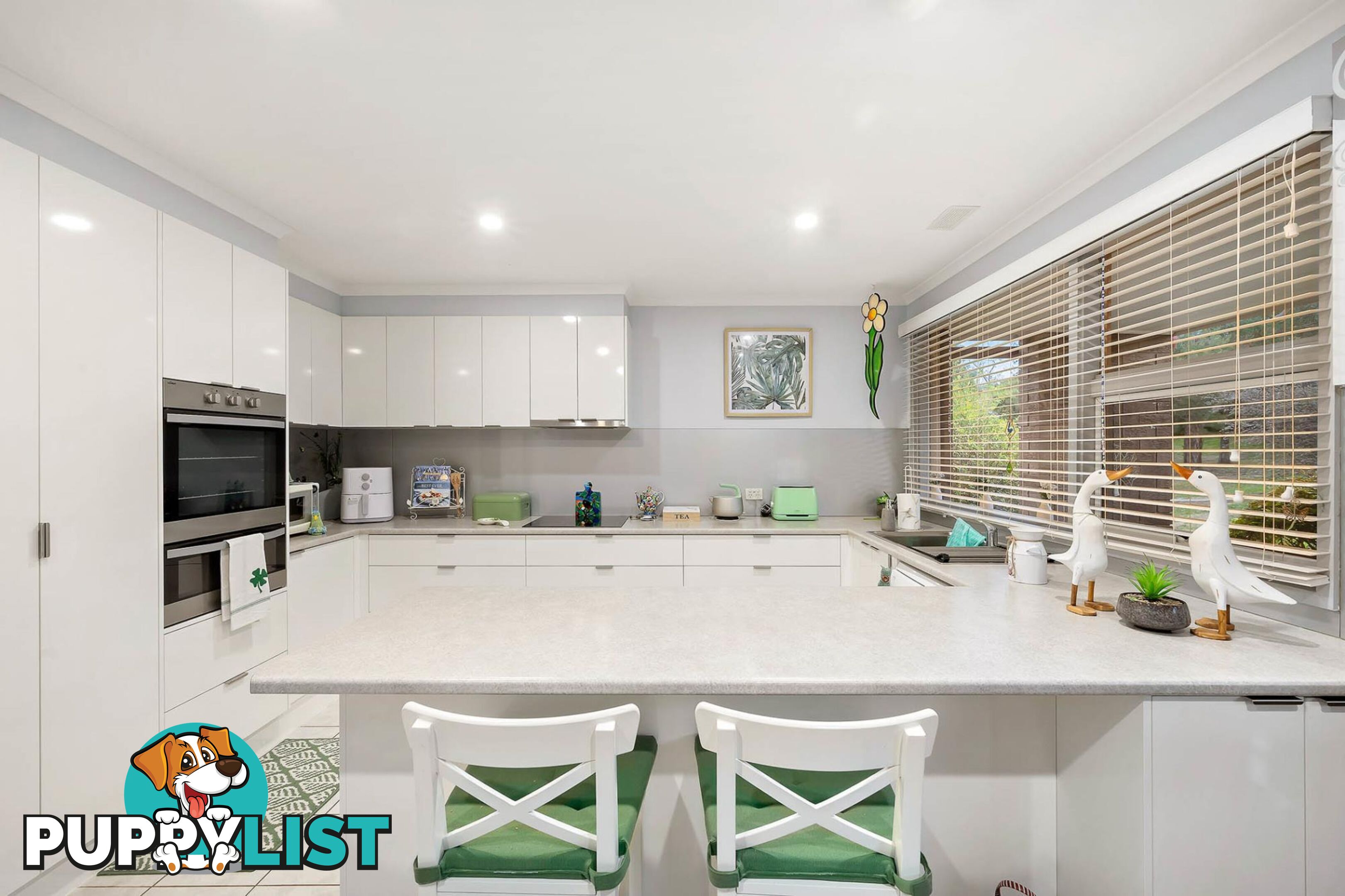12 Holland Street MACGREGOR ACT 2615
