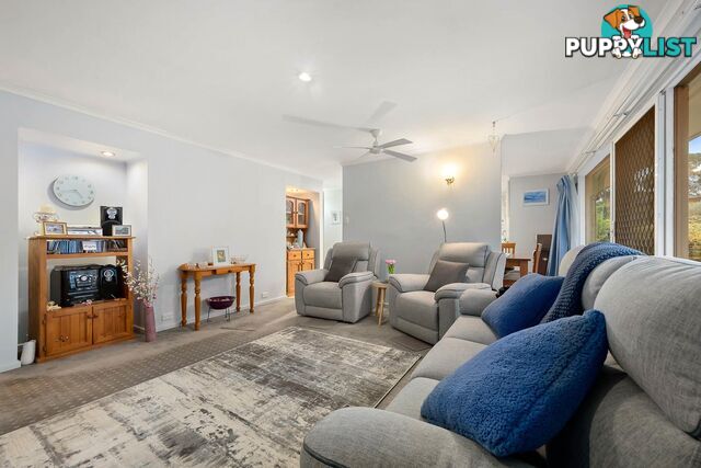 12 Holland Street MACGREGOR ACT 2615