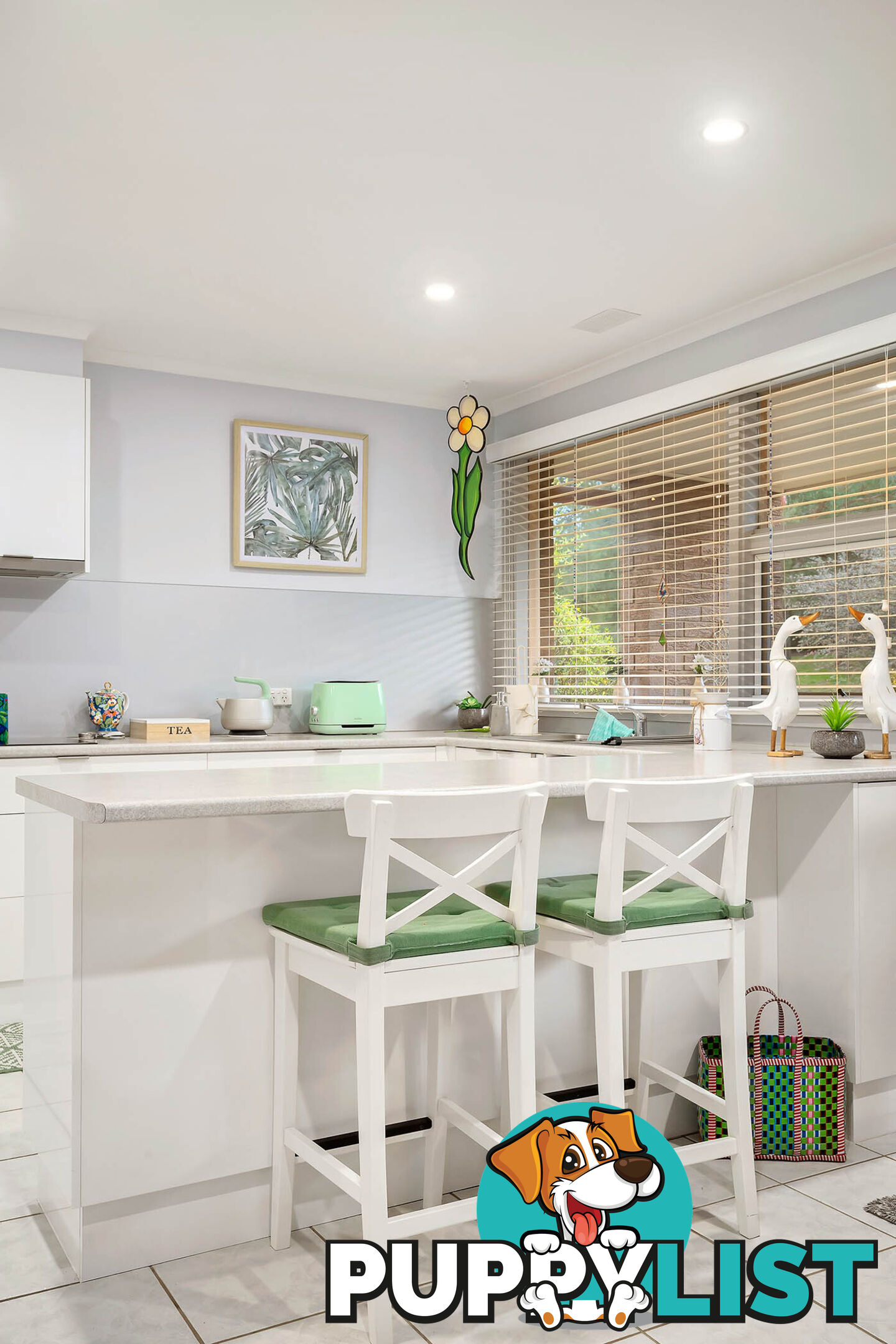12 Holland Street MACGREGOR ACT 2615