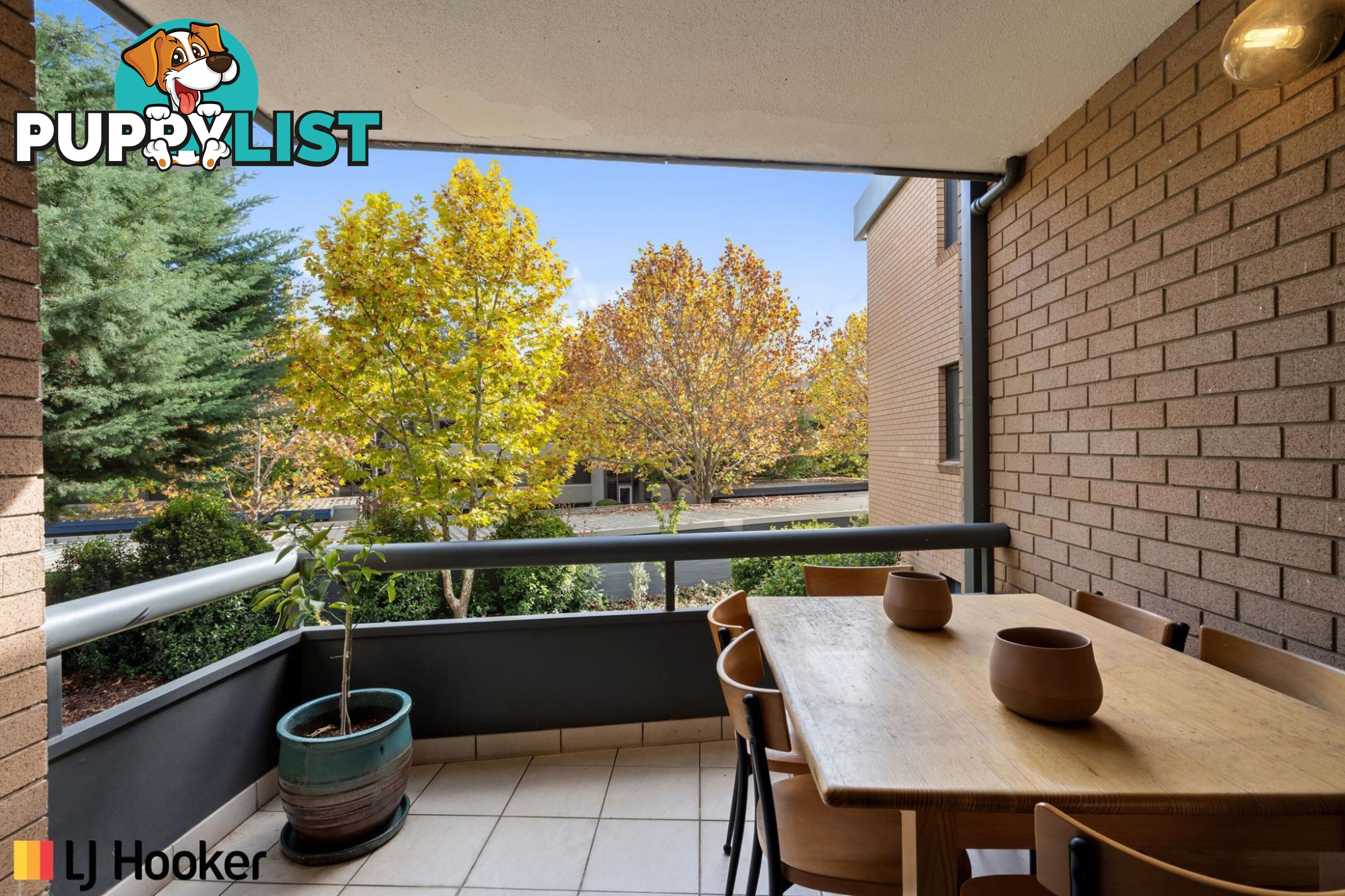 17/4 Tench Street KINGSTON ACT 2604