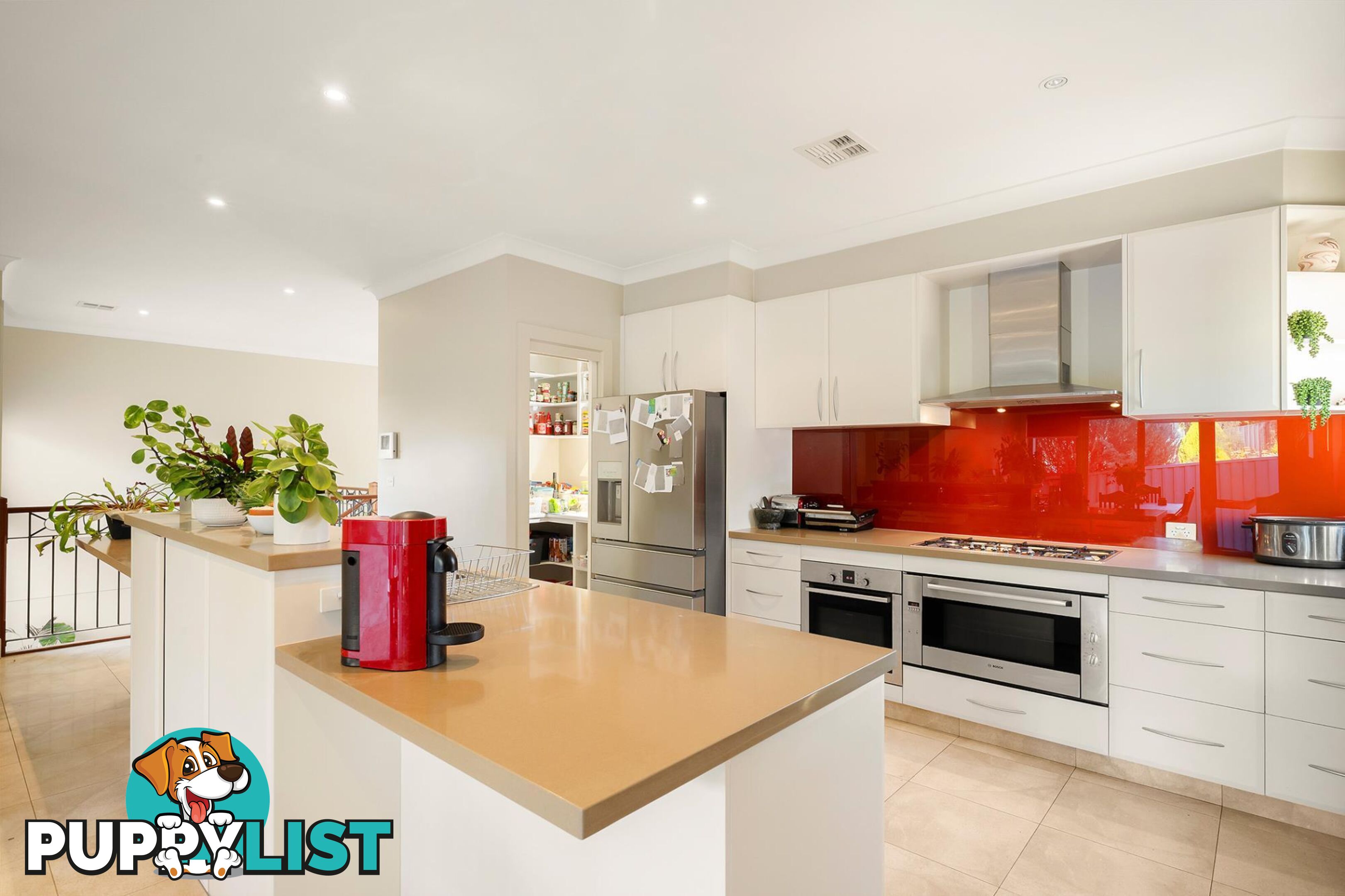 59 Halloran Drive JERRABOMBERRA NSW 2619