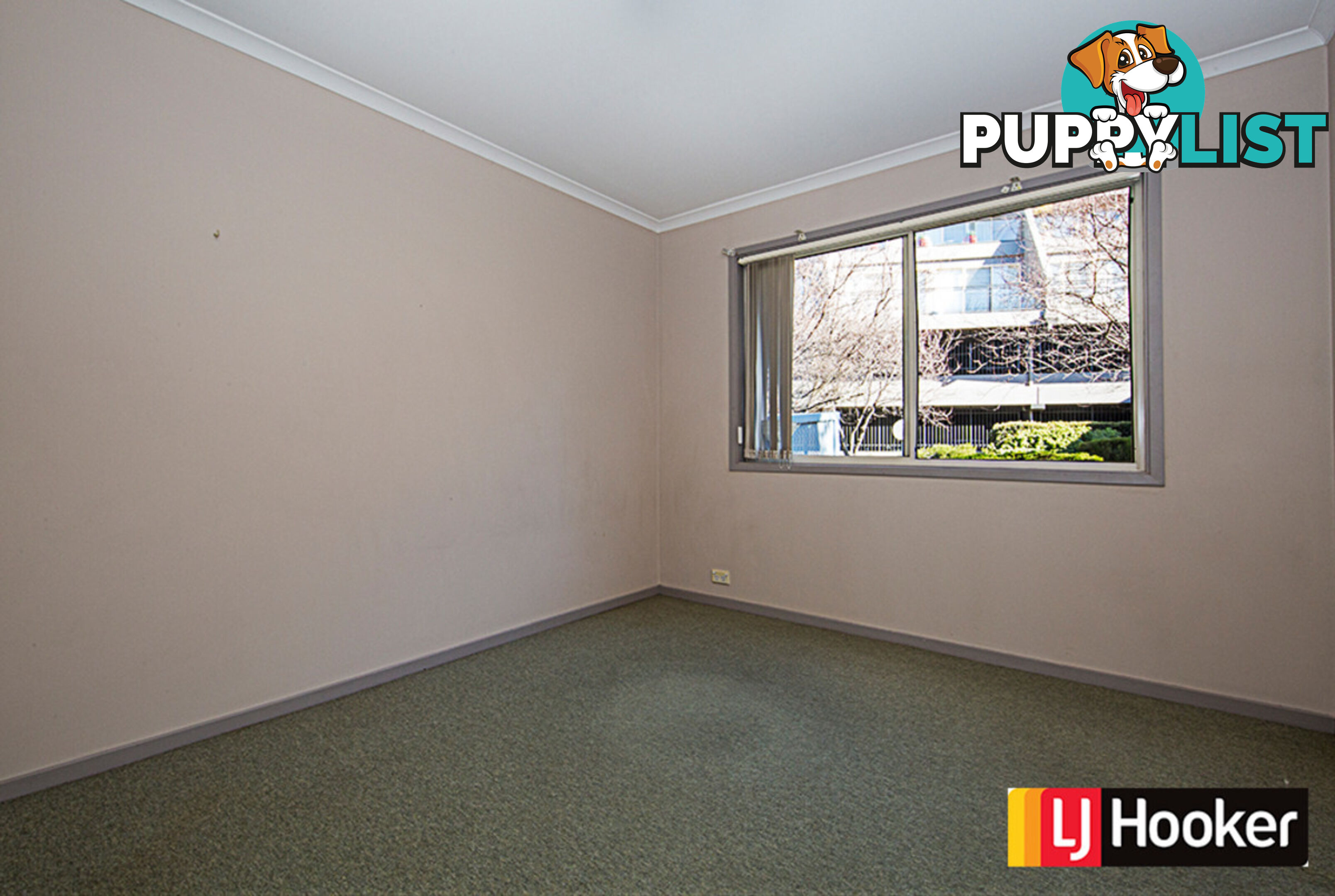 50A/17 Chandler Street BELCONNEN ACT 2617