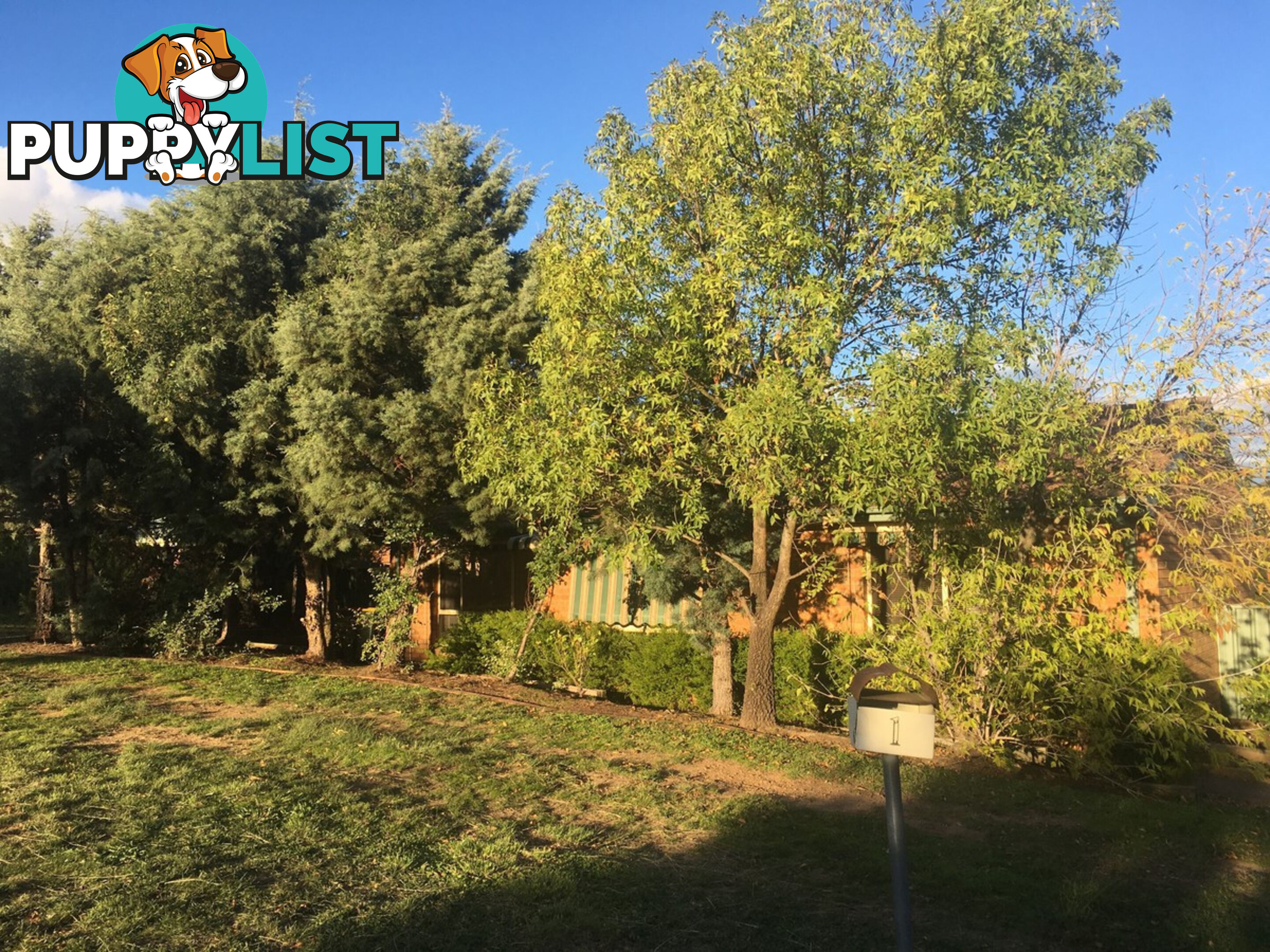 1 Attunga Street NGUNNAWAL ACT 2913