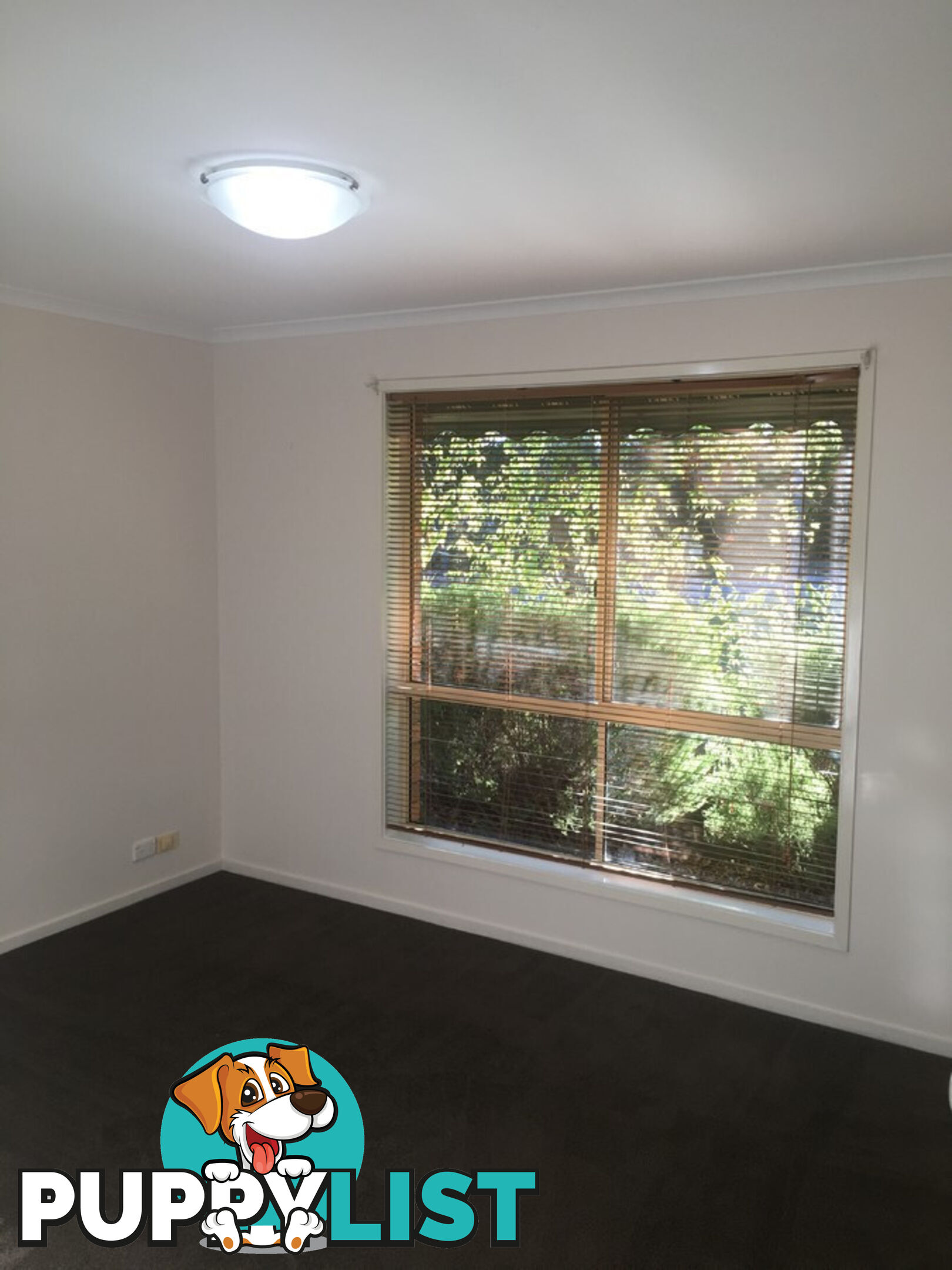 1 Attunga Street NGUNNAWAL ACT 2913