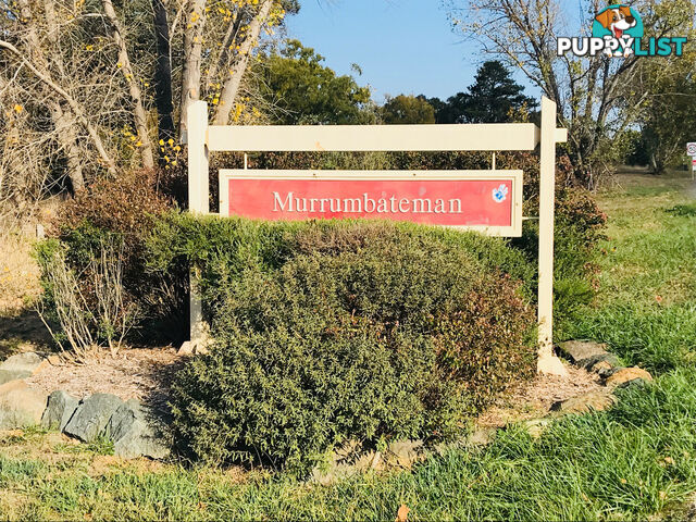 Lot 12, 13 North Street MURRUMBATEMAN NSW 2582