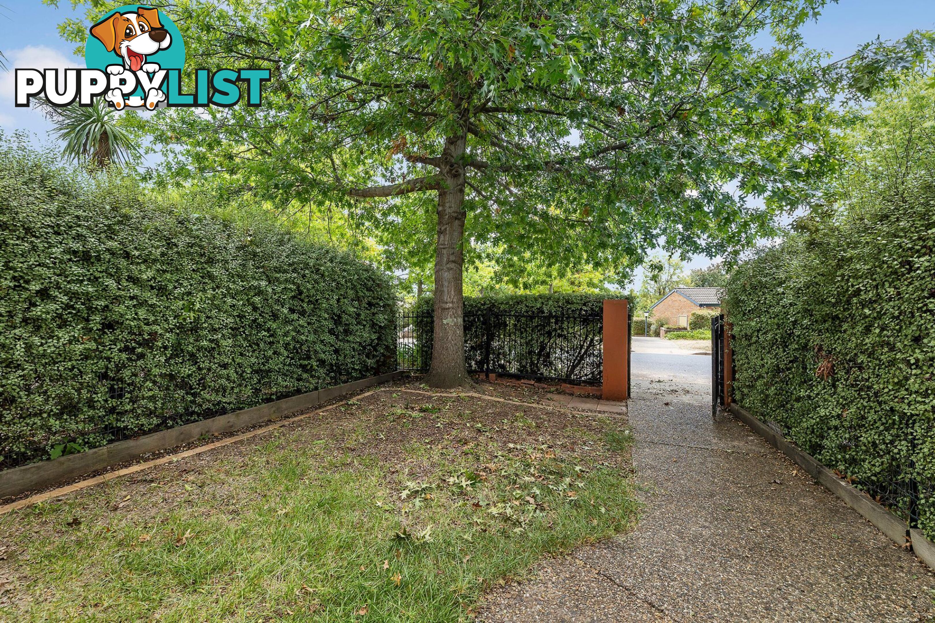 9/15 Wanliss Street LATHAM ACT 2615