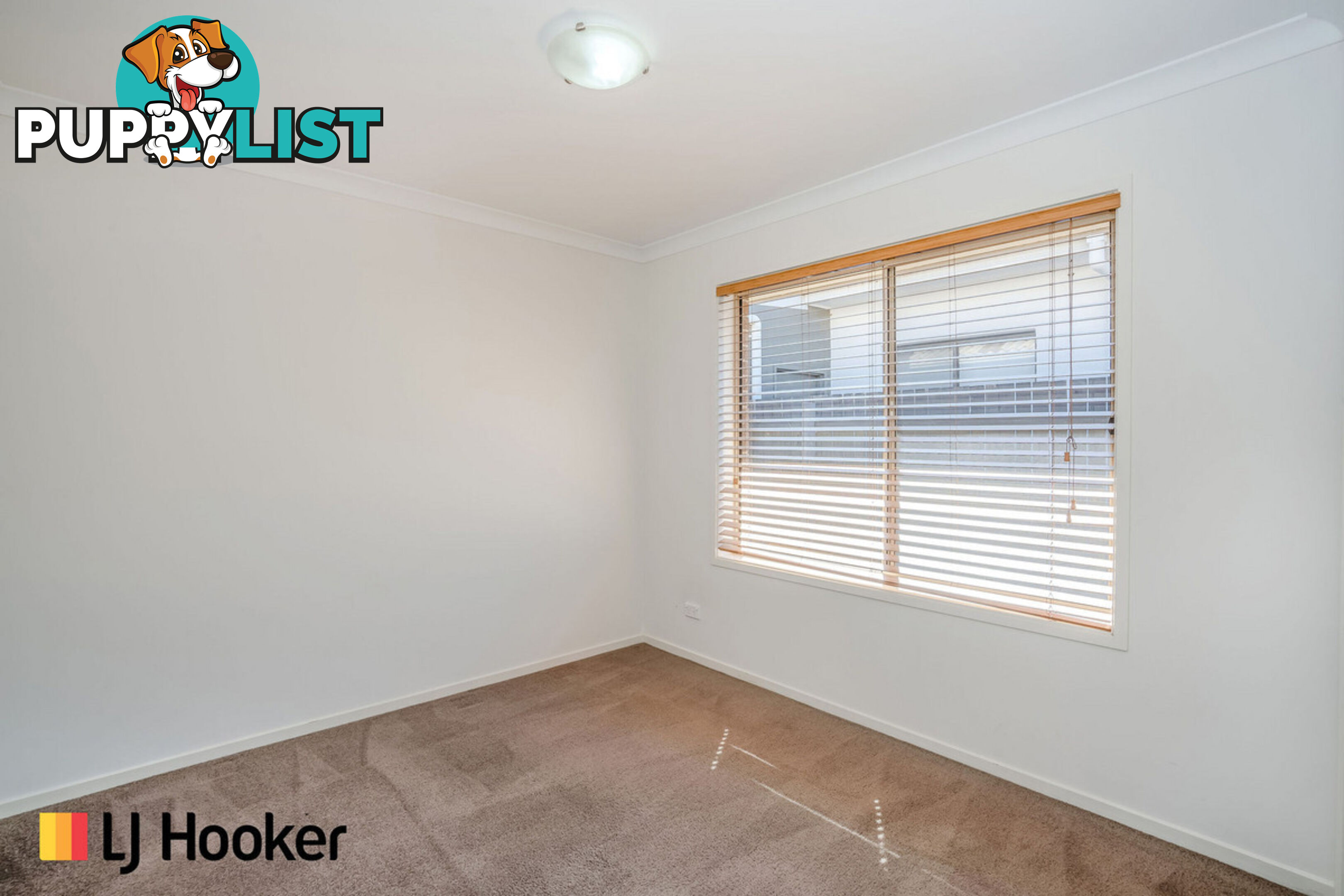 31 Isbister Street MACGREGOR ACT 2615