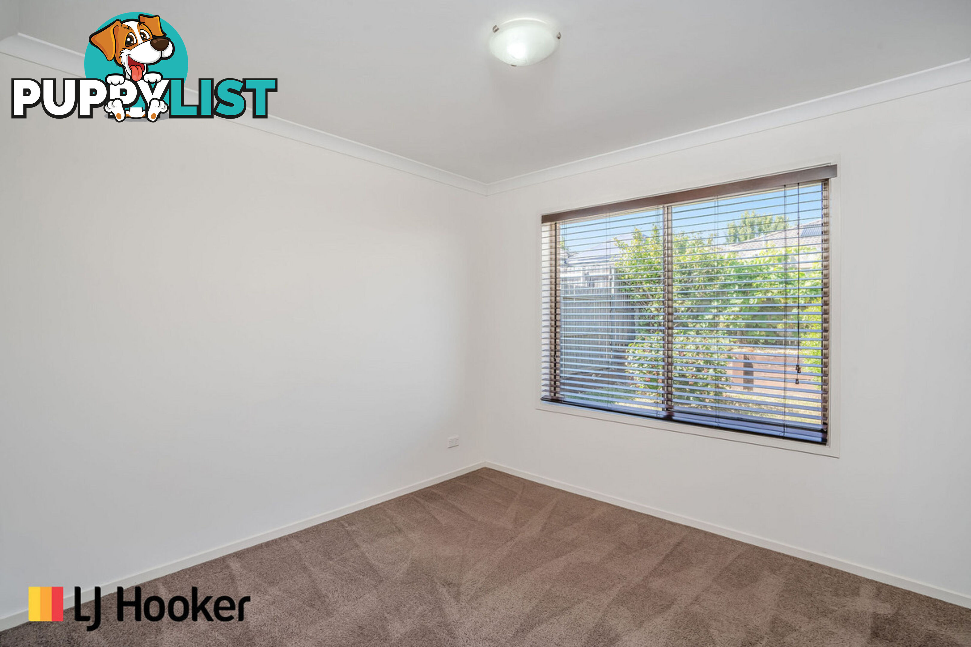 31 Isbister Street MACGREGOR ACT 2615