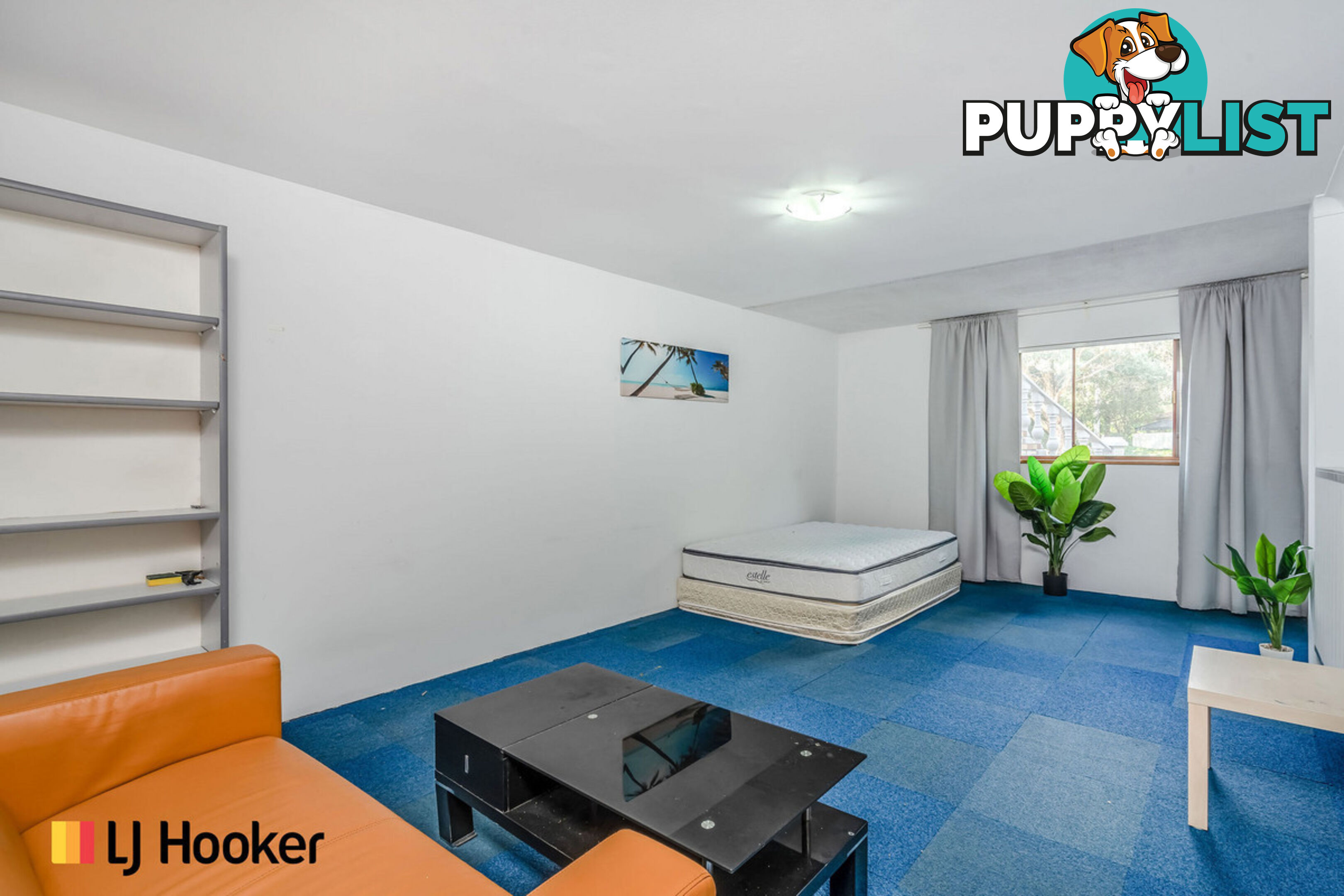 2/17 Florina Place HAWKER ACT 2614