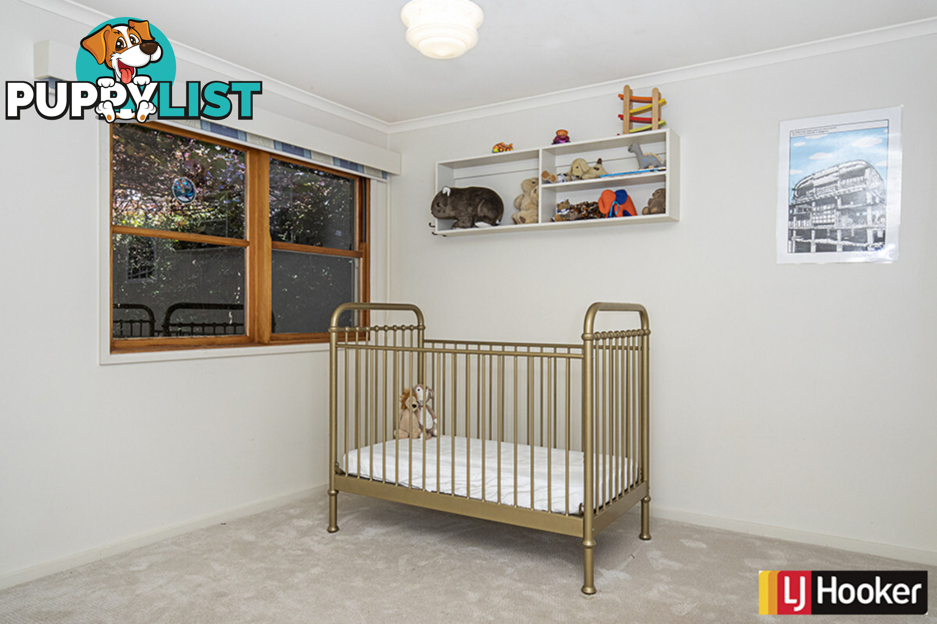 4 Schomburgk Street YARRALUMLA ACT 2600
