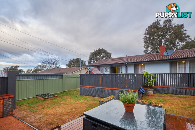 83 Ashburner Street HIGGINS ACT 2615