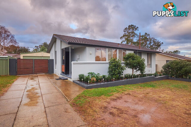 83 Ashburner Street HIGGINS ACT 2615