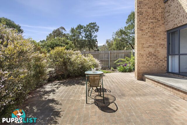 2 Cabena Court BELCONNEN ACT 2617