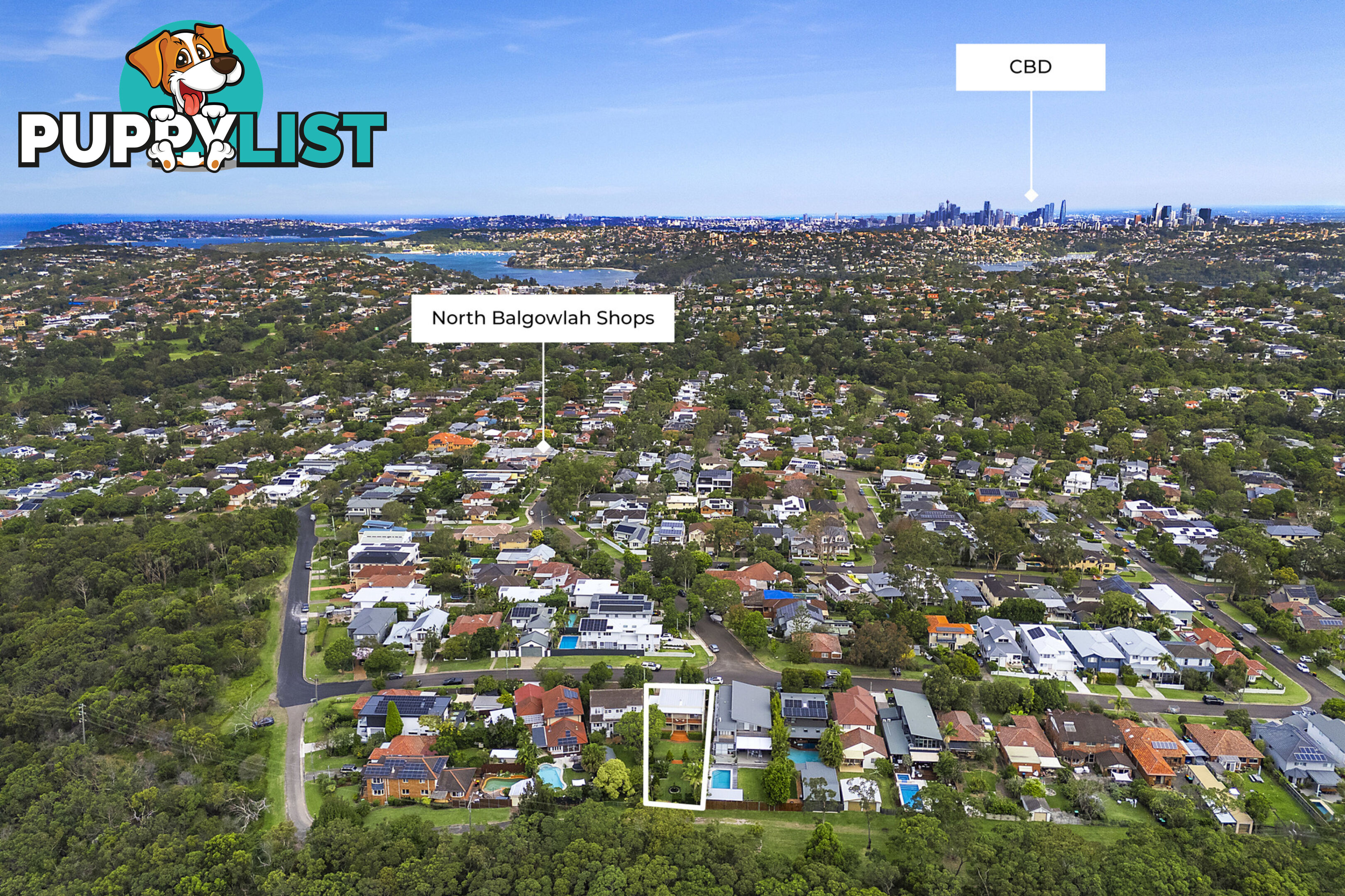6 Warringah Street NORTH BALGOWLAH NSW 2093