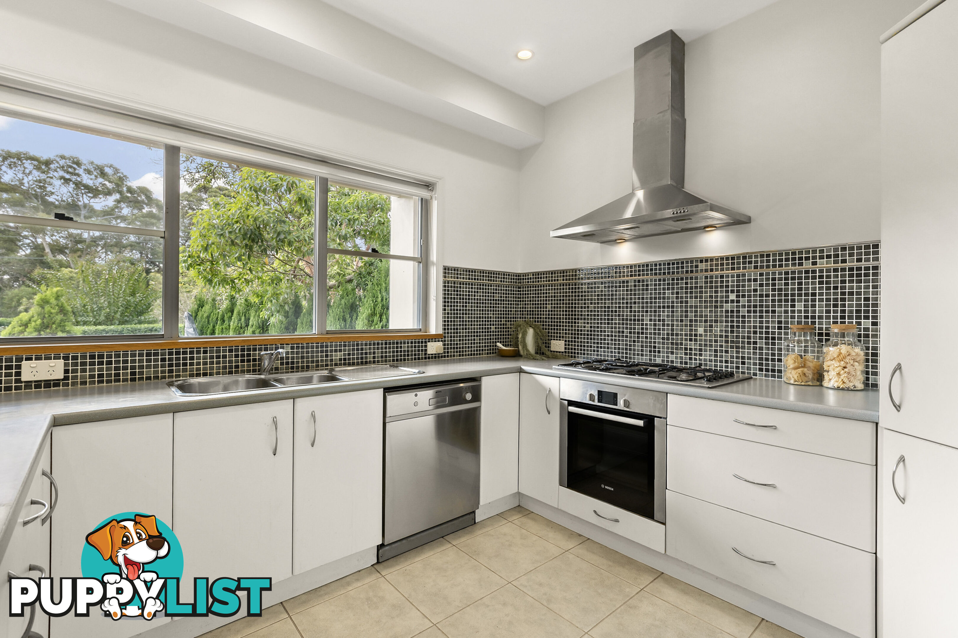 6 Warringah Street NORTH BALGOWLAH NSW 2093