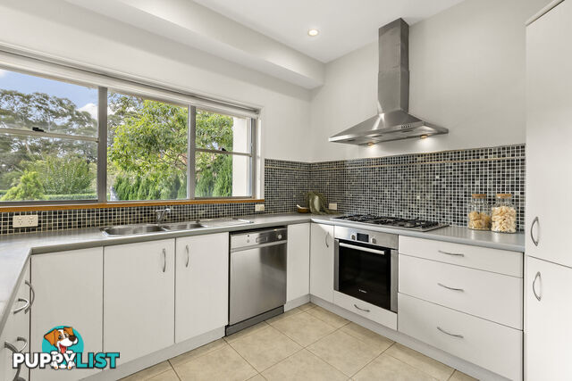 6 Warringah Street NORTH BALGOWLAH NSW 2093