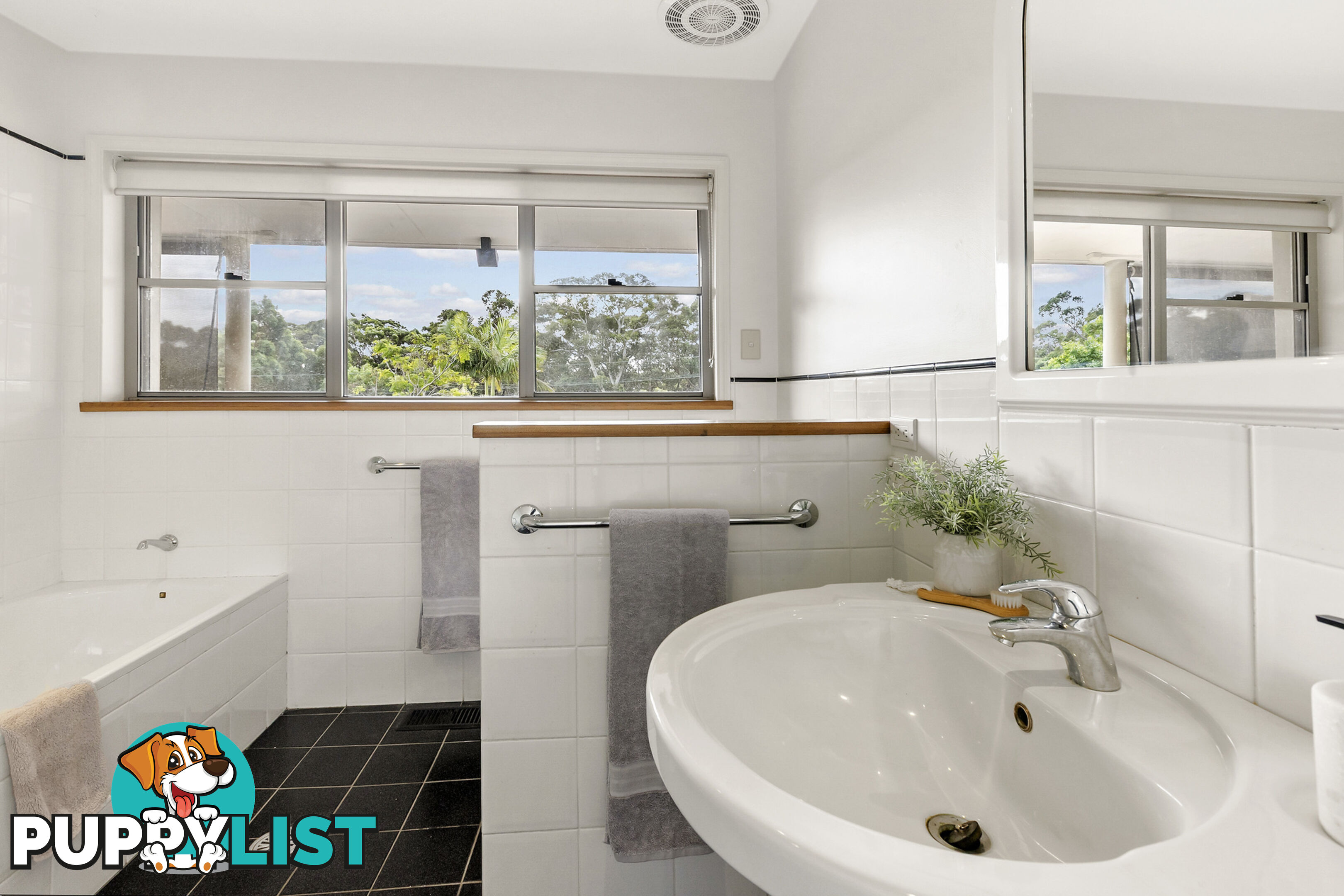 6 Warringah Street NORTH BALGOWLAH NSW 2093
