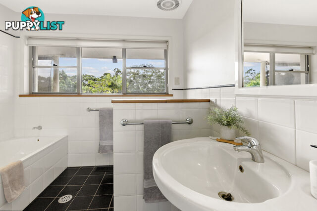 6 Warringah Street NORTH BALGOWLAH NSW 2093