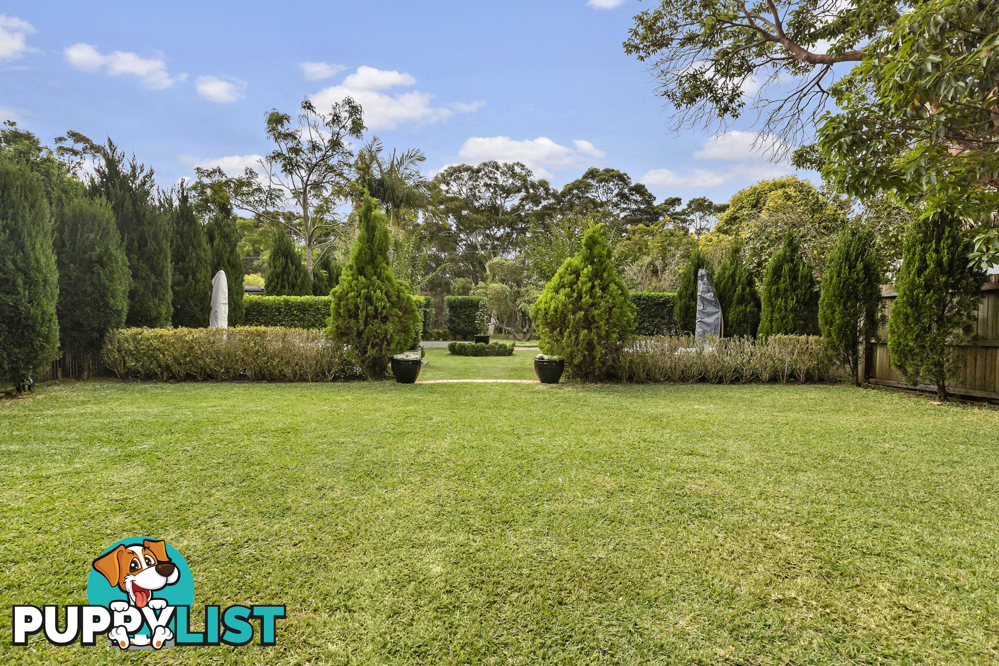 6 Warringah Street NORTH BALGOWLAH NSW 2093