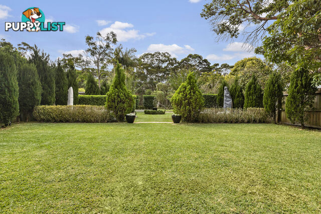6 Warringah Street NORTH BALGOWLAH NSW 2093