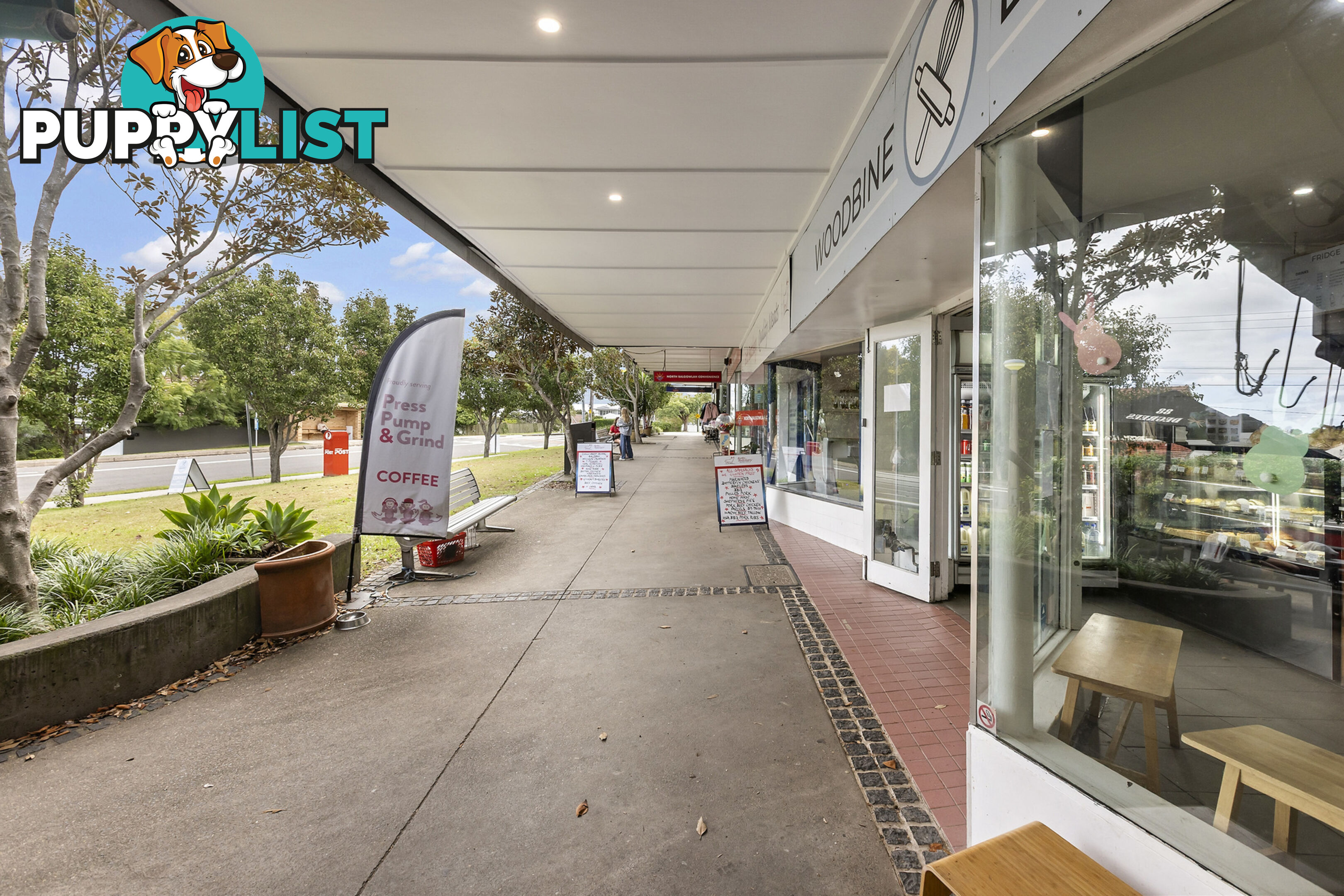 6 Warringah Street NORTH BALGOWLAH NSW 2093