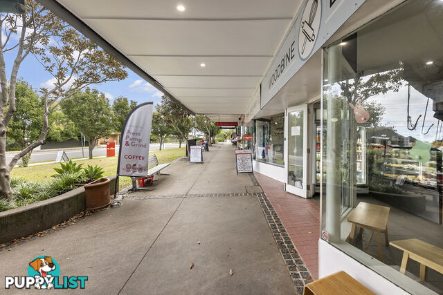 6 Warringah Street NORTH BALGOWLAH NSW 2093