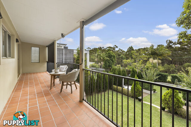 6 Warringah Street NORTH BALGOWLAH NSW 2093
