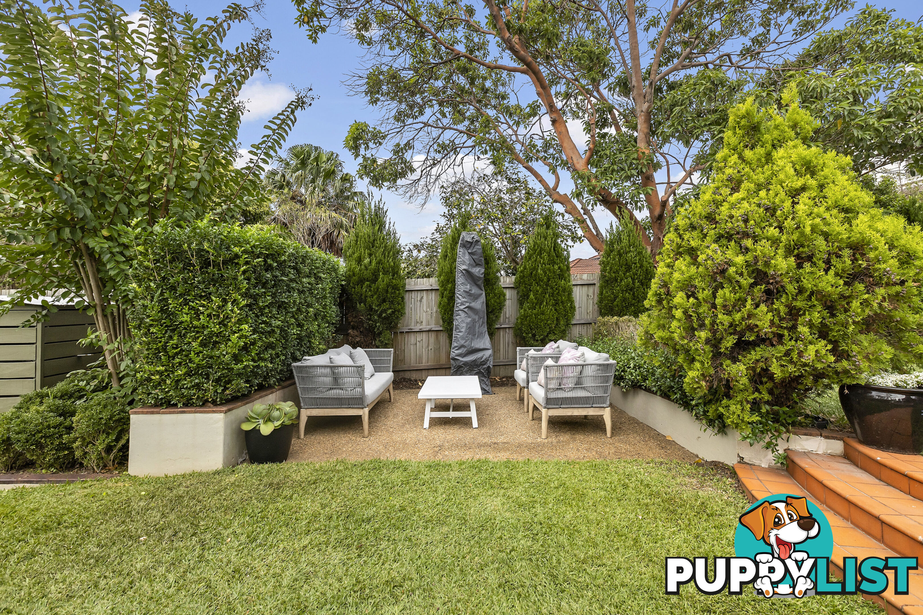 6 Warringah Street NORTH BALGOWLAH NSW 2093