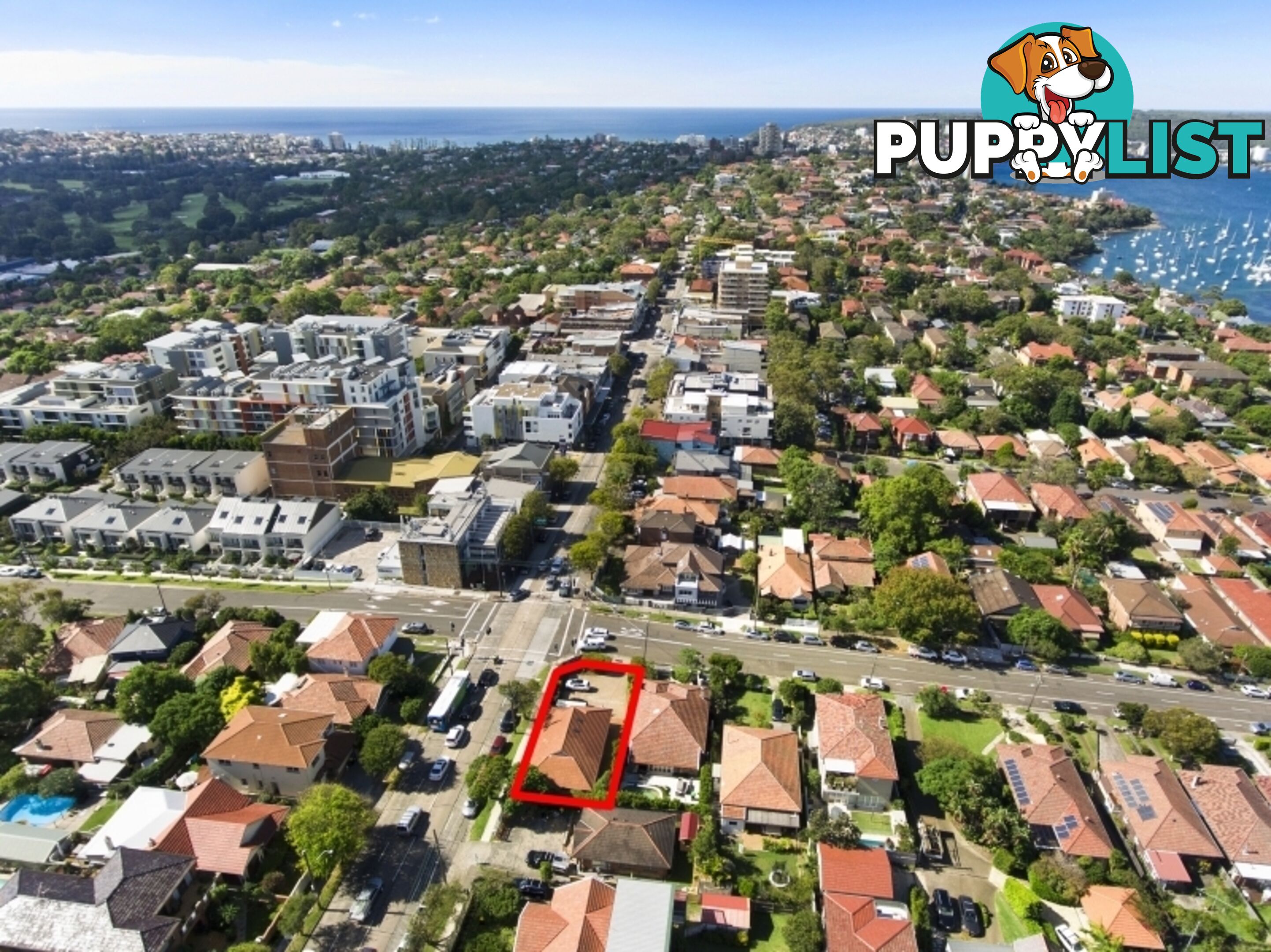197 Woodland Street BALGOWLAH NSW 2093