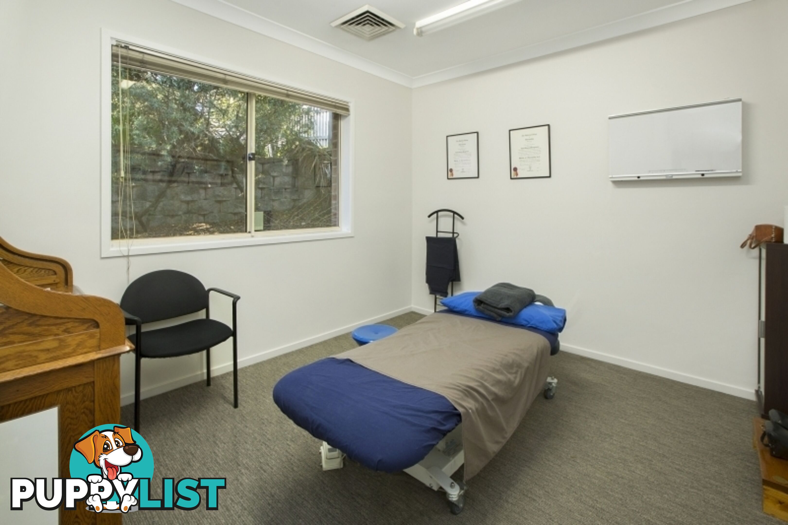 197 Woodland Street BALGOWLAH NSW 2093