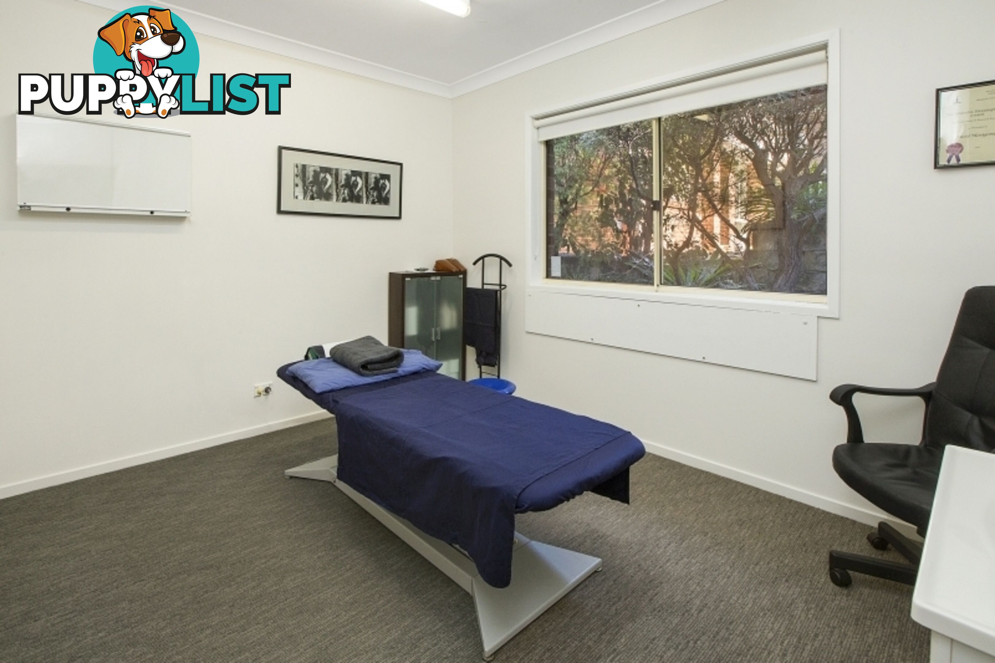 197 Woodland Street BALGOWLAH NSW 2093