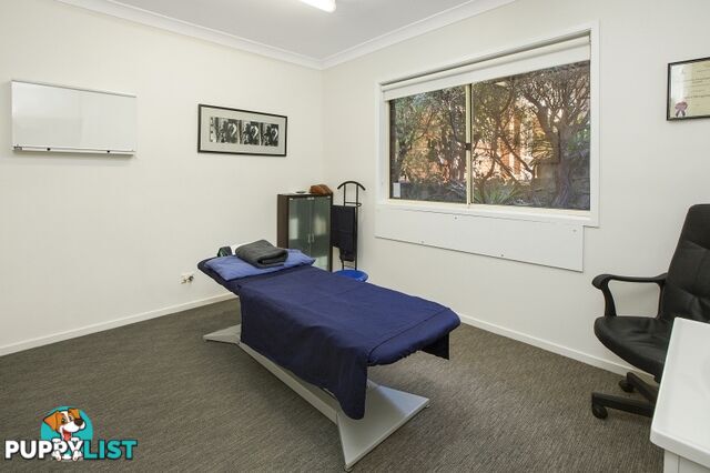 197 Woodland Street BALGOWLAH NSW 2093
