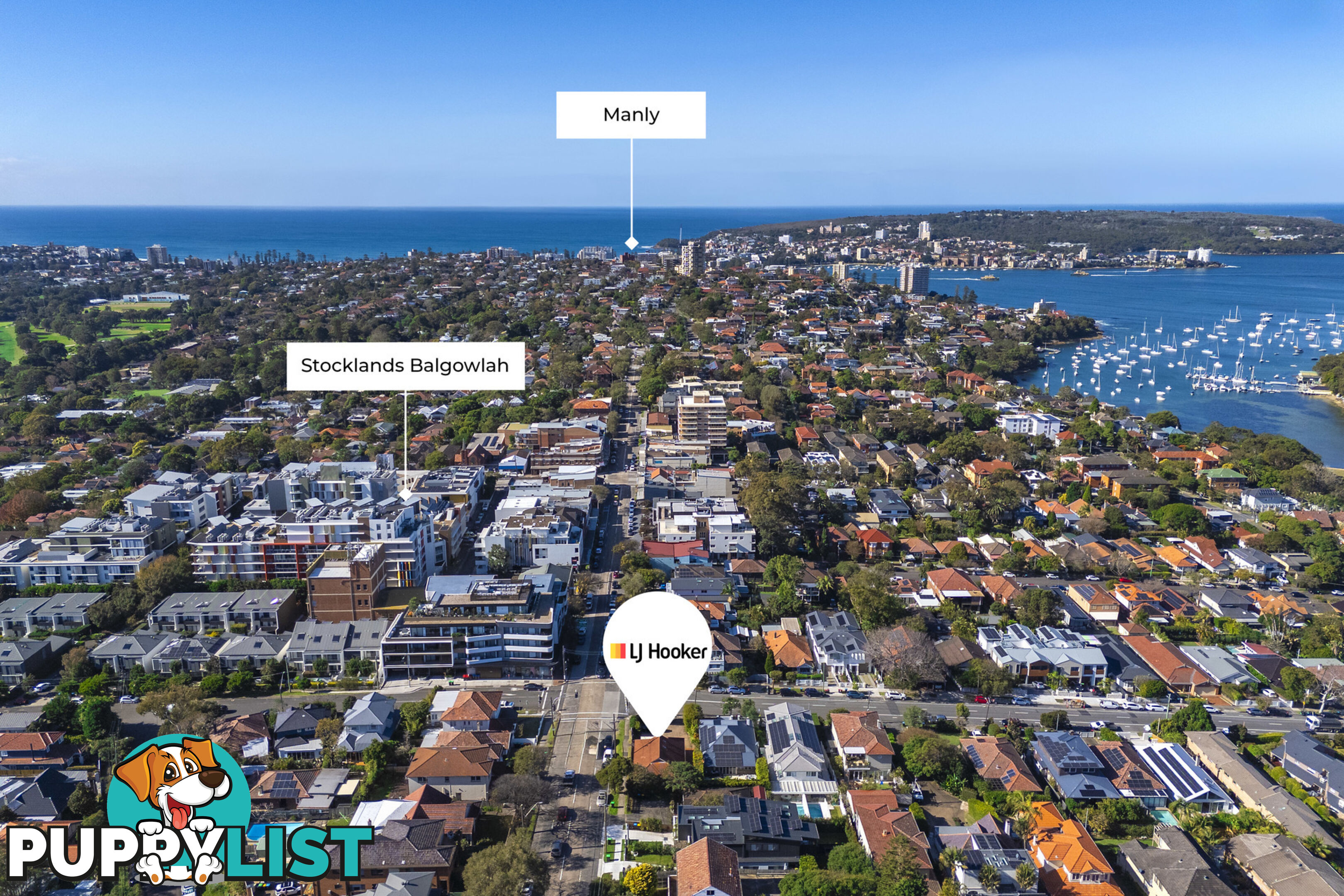 197 Woodland Street BALGOWLAH NSW 2093