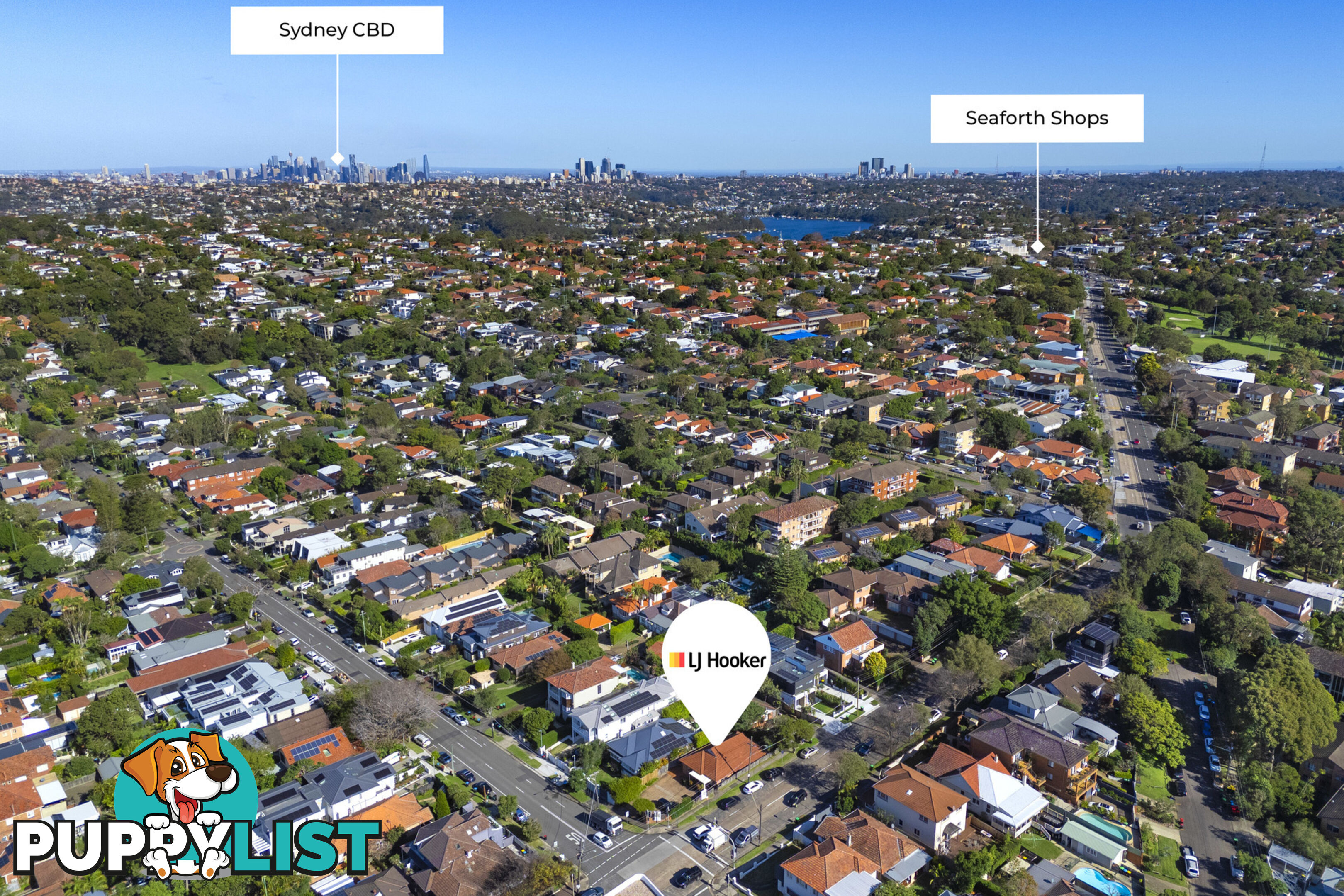 197 Woodland Street BALGOWLAH NSW 2093