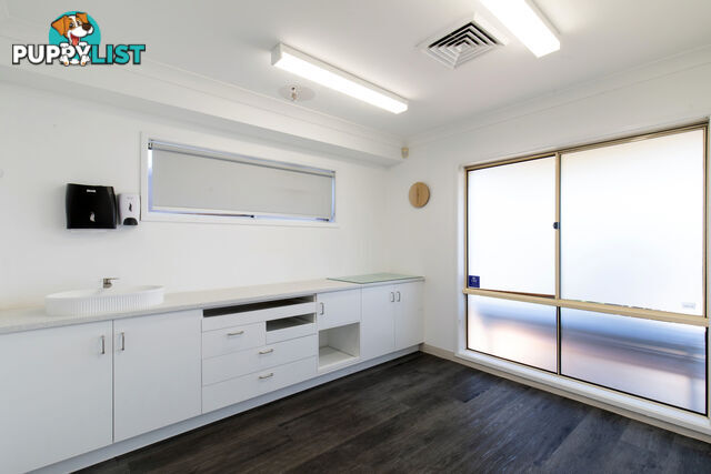 197 Woodland Street BALGOWLAH NSW 2093
