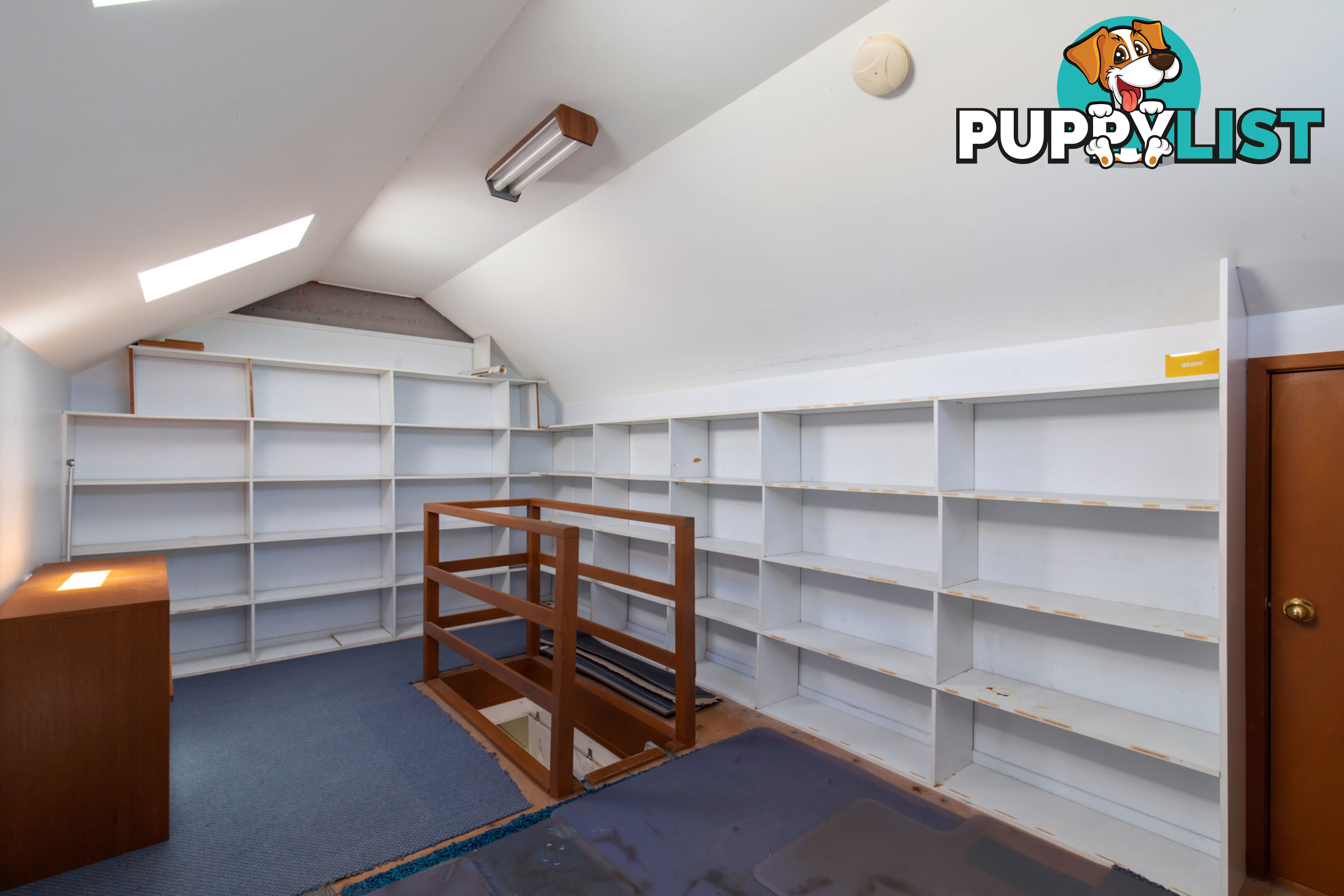 197 Woodland Street BALGOWLAH NSW 2093